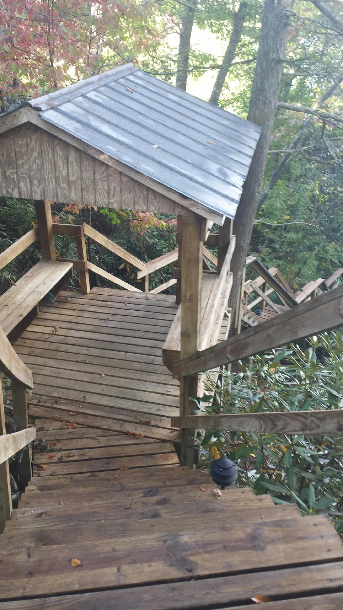 Metal roofed shelter over wooden steps on a wooded walkway — Skylight Repair & Installation work by our crew in Loris